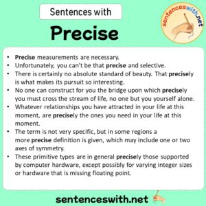 Image result for Define Precise