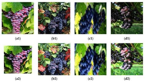 A Comparative Study of Semantic Segmentation Models for Identification ...