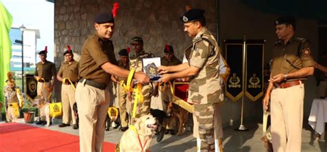 CISF Salutes Bids Farewell To The Brave Heroes Who Were Born As A Dog ...