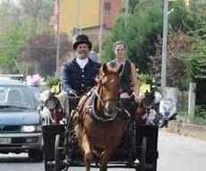 cavallo con carrozza carrozza d epoca per il matrimonio nozze carrozze foto 8 cavallo con carrozza carrozza d epoca per il matrimonio nozze carrozze foto 8