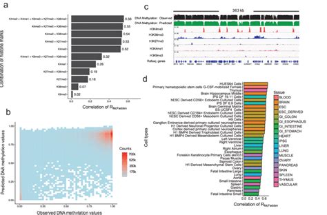 Measuring Model Performance 的图像结果