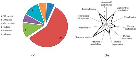 S-nitrosylated Proteins Involved in Autophagy in Triticum aestivum ...