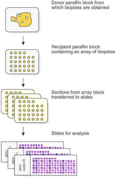Microarray Method 的图像结果