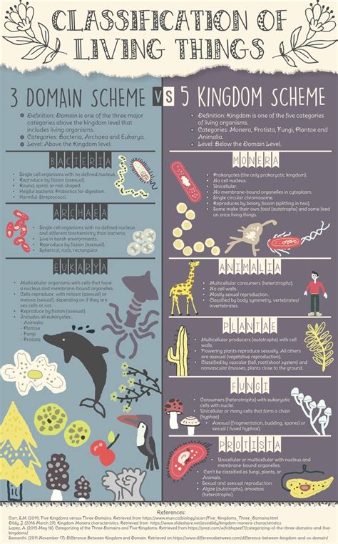 Image result for Three Domain Classification System