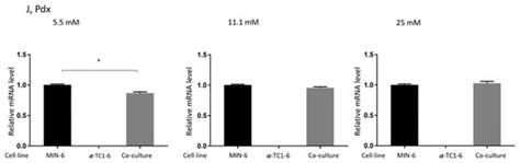 Pancreatic β Cells Inhibit Glucagon Secretion from α Cells: An In Vitro ...