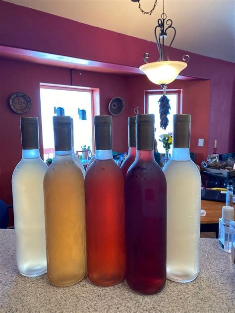 IGLOO OF ENLIGHTENMENT (Bethel) - Specialty B&B Reviews & Photos ...