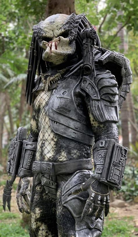 Predator Design 的图像结果