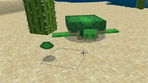Turtle shells in Minecraft: Everything you need to know