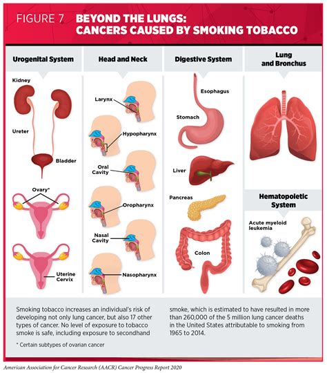 Causes Of Cancer
