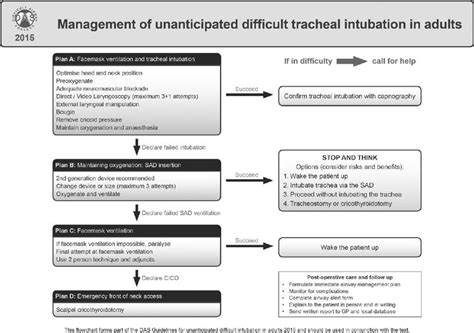 Image result for Das Difficult Airway Algorithm