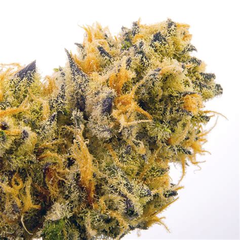 Weed Dispensary in Bremerton | Clear Choice Cannabis