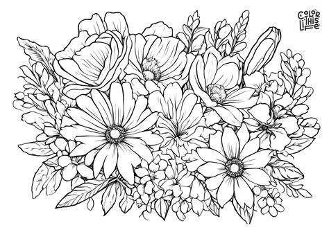 Flower Bouquet Coloring Pages (Free Printable)
