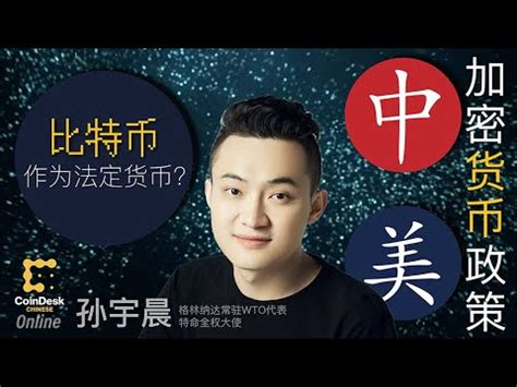 孙宇晨：中国法律并不反对拥有比特币 - YouTube