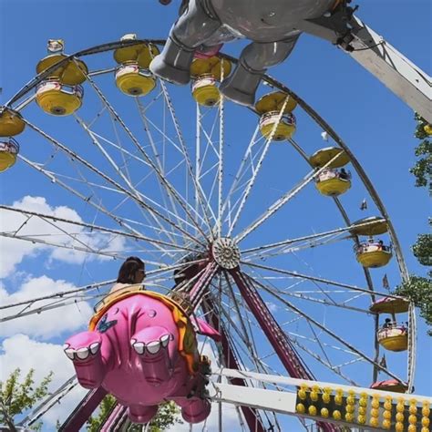 Nevada State Fair | 🎡 Get Ready for RenoFest! 🎡 The Nevada State Fair ...