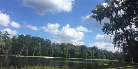 Gordon Tourism (2023): Best of Gordon, AL - Tripadvisor