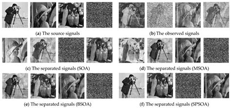 Optimal Performance and Application for Seagull Optimization Algorithm ...
