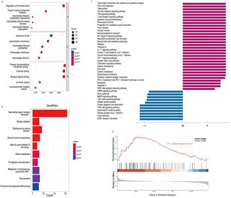 Identification of m7G-Related miRNA Signatures Associated with ...