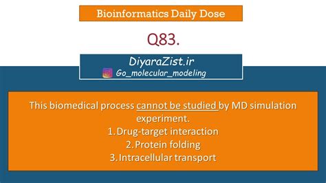 Computer and MD Simulation 的图像结果