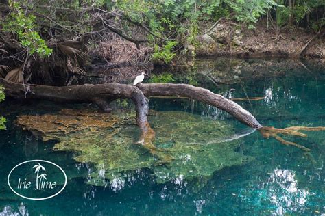 Indigenous Eyes Ecological Reserve: Explore Dominican Nature