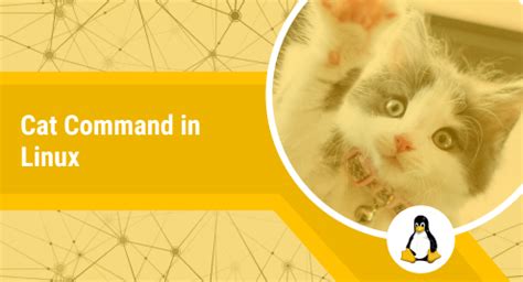 Image result for How to Use Cat Command in Linux