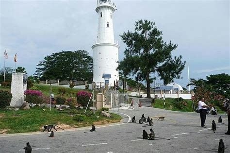 2026 Firefly Kuala Selangor (Kuala Lumpur) - with Reviews & Photos