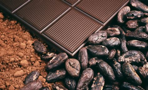 Tastree - Best Dark Chocolate Factory in Kochi, Kerala