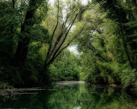 Kering was included in the CDP Triple A List (Climate/Water/Forests) in ...