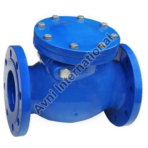 Non Return Valve Exporter,Non Return Valve Supplier from Pune India