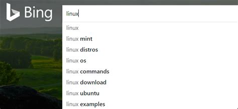 View Browser History Bing 的图像结果