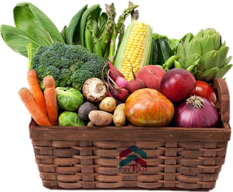 Services Page || Evitan