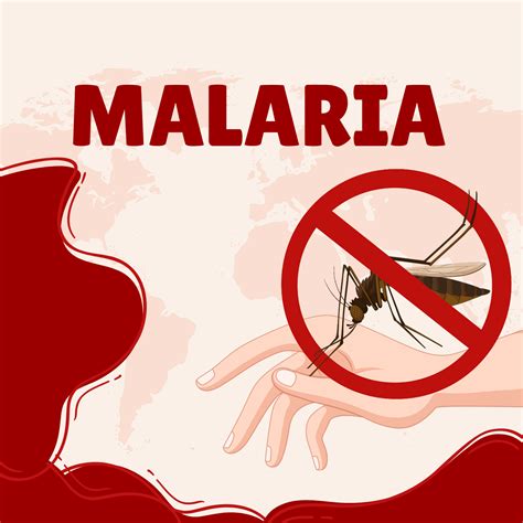 Malaria Transmission and Prevention: Strategies for Vector Control - Daily Mail Express