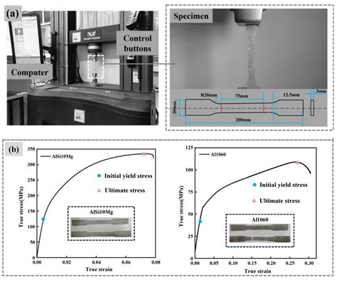 Crashworthiness Study of Functional Gradient Lattice-Reinforced Thin ...