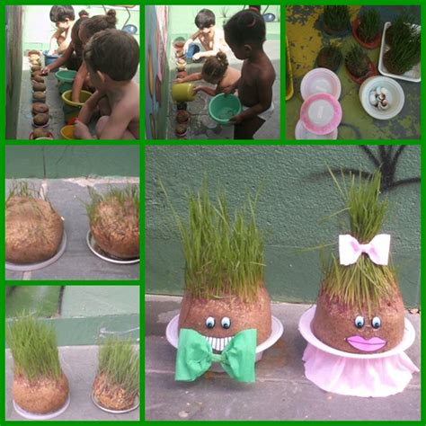 Projeto Plantas Na Educação Infantil