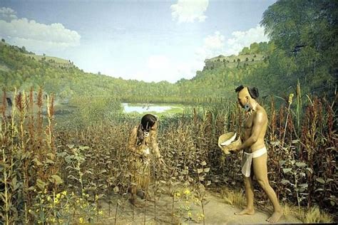 Which Native American Tribes Are Farmers?