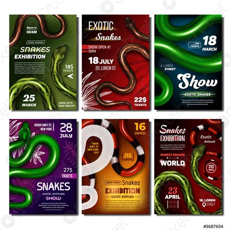 Image result for Python Snake Event Banner