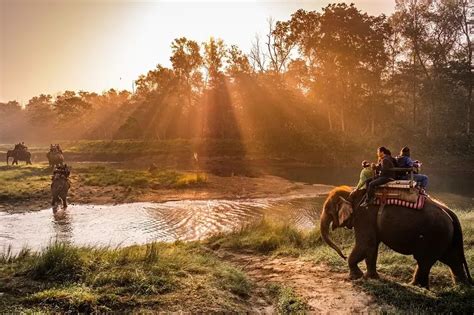 Ranthambore National Park: Day Trip with Safari from Jaipur - Staybook