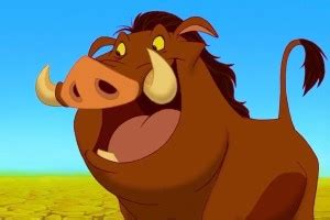 Timon and Pumba Poster Matte Finish Poster Paper Print - Animation ...