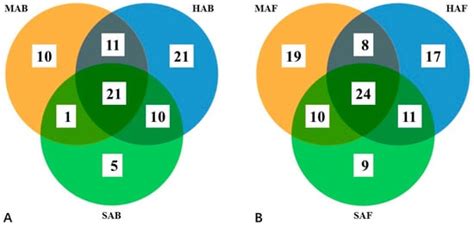 Microbiome Analysis of the Bamboo Aphid Melanaphis bambusae Infected ...
