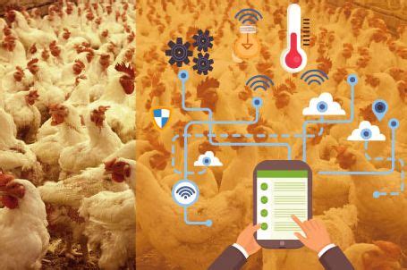 Smart Poultry Farm Automation with Sonoff India