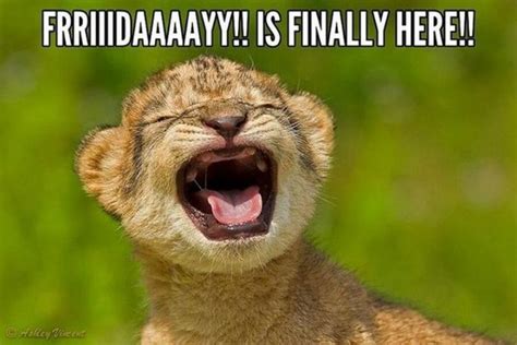 27 Funny Friday Memes That Anybody with a Job Will Relate To