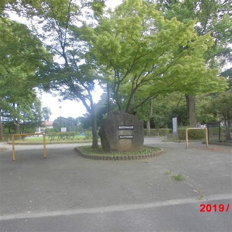 YOKOSUKA CHUO PARK (2026) All You Need to Know BEFORE You Go (with ...