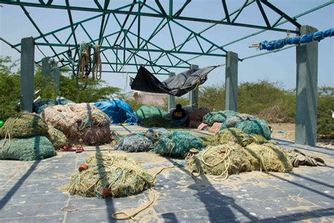 In Tamil Nadu, the aftermath of Cyclone Gaja has shaken a strong AIADMK ...