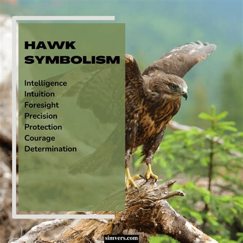 What Does The Symbol Of A Hawk Mean at Jack Maughan blog