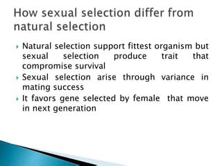 Image result for Introduction to Computer Science