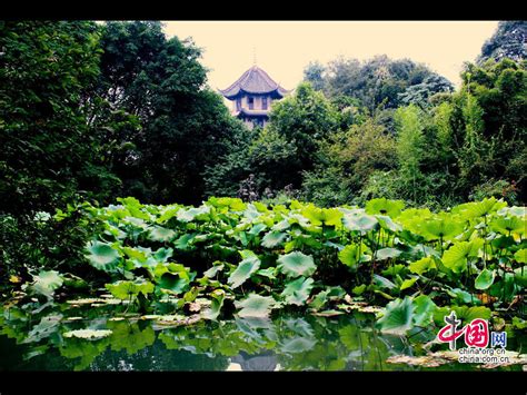 成都景点推荐-旅游经验本