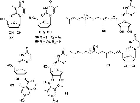 Marine Nucleosides: Structure, Bioactivity, Synthesis and Biosynthesis