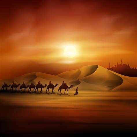 Camels In Desert At Sunset