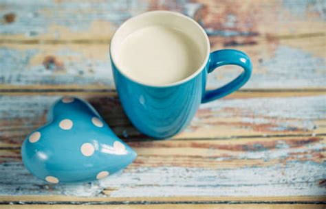 From the fastest to the loudest: India’s birds and their winning traits