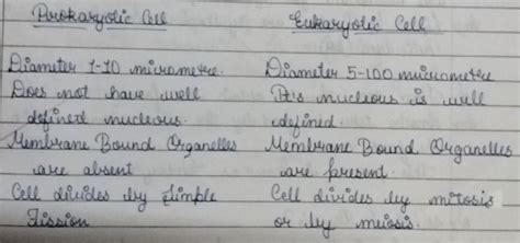 Write whether a plant cell will be categorised as prokaryotic or ...