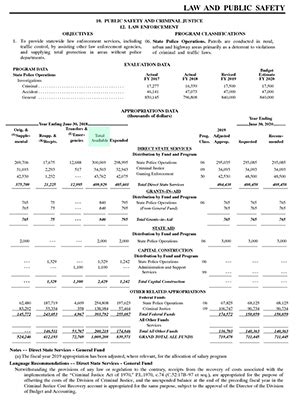 Profit and Loss Statement - India Dictionary